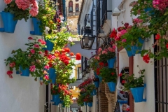 Calleja de las Flores, Cordoba, Spain